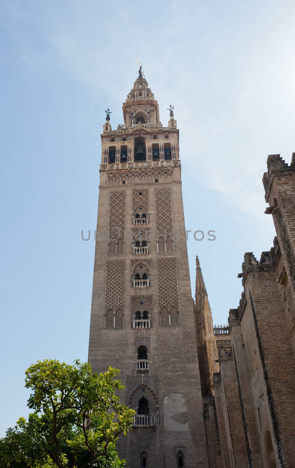 GIralda Tower, Seville, Spain by elena_shchipkova