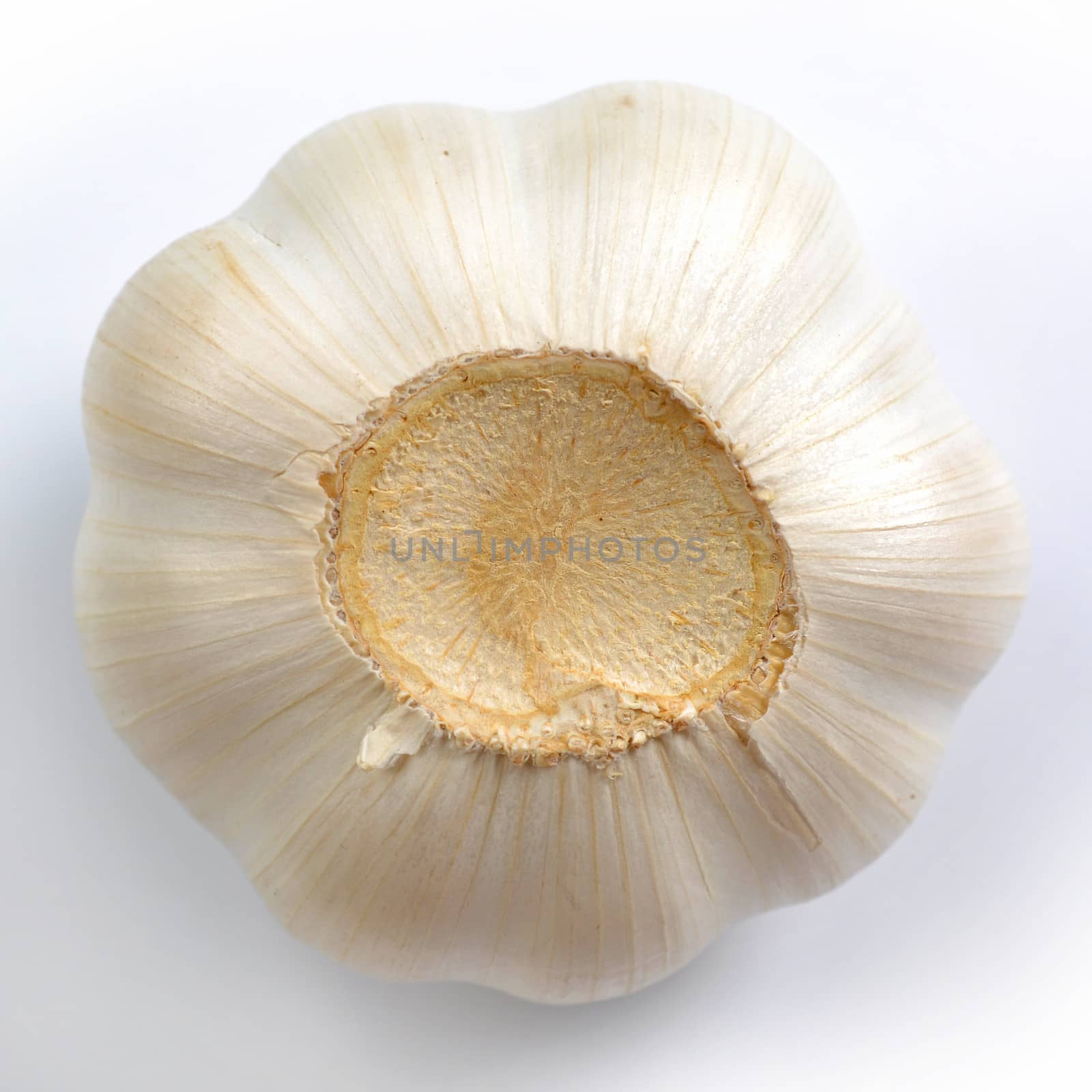 Garlic isolated on white background