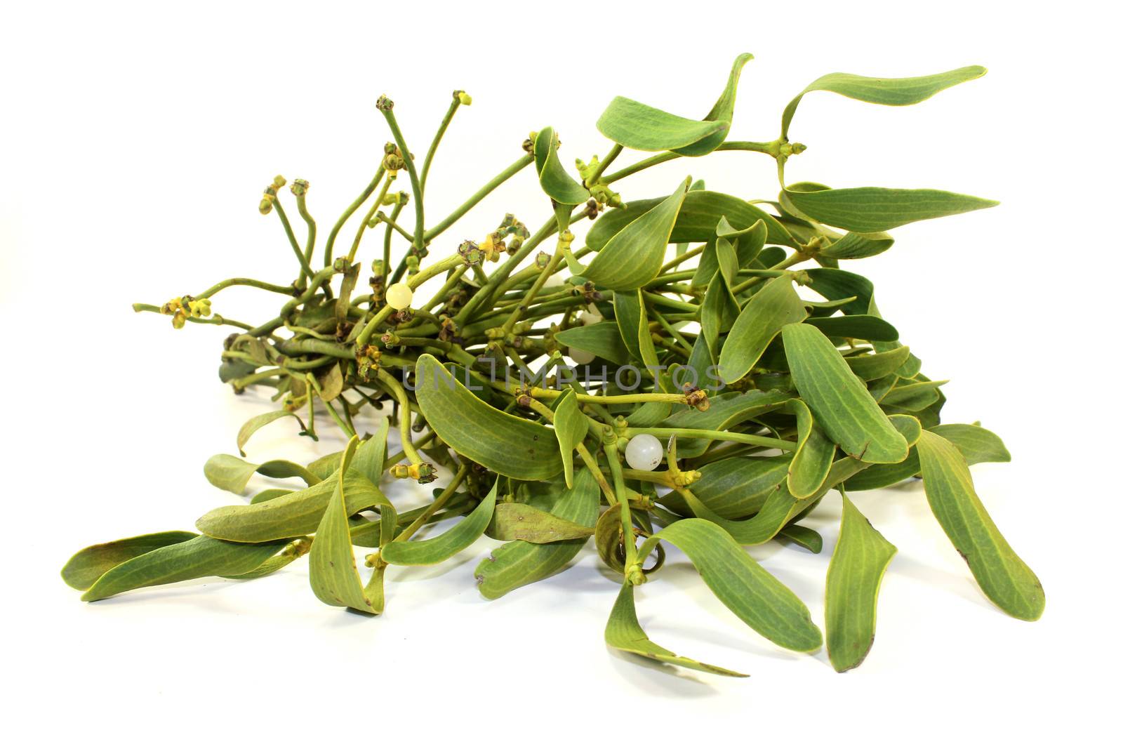 a bunch of mistletoe against white background