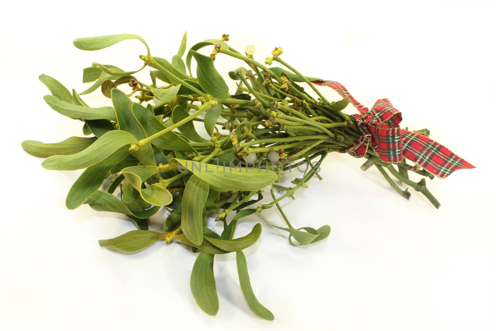 a bunch of mistletoe against white background