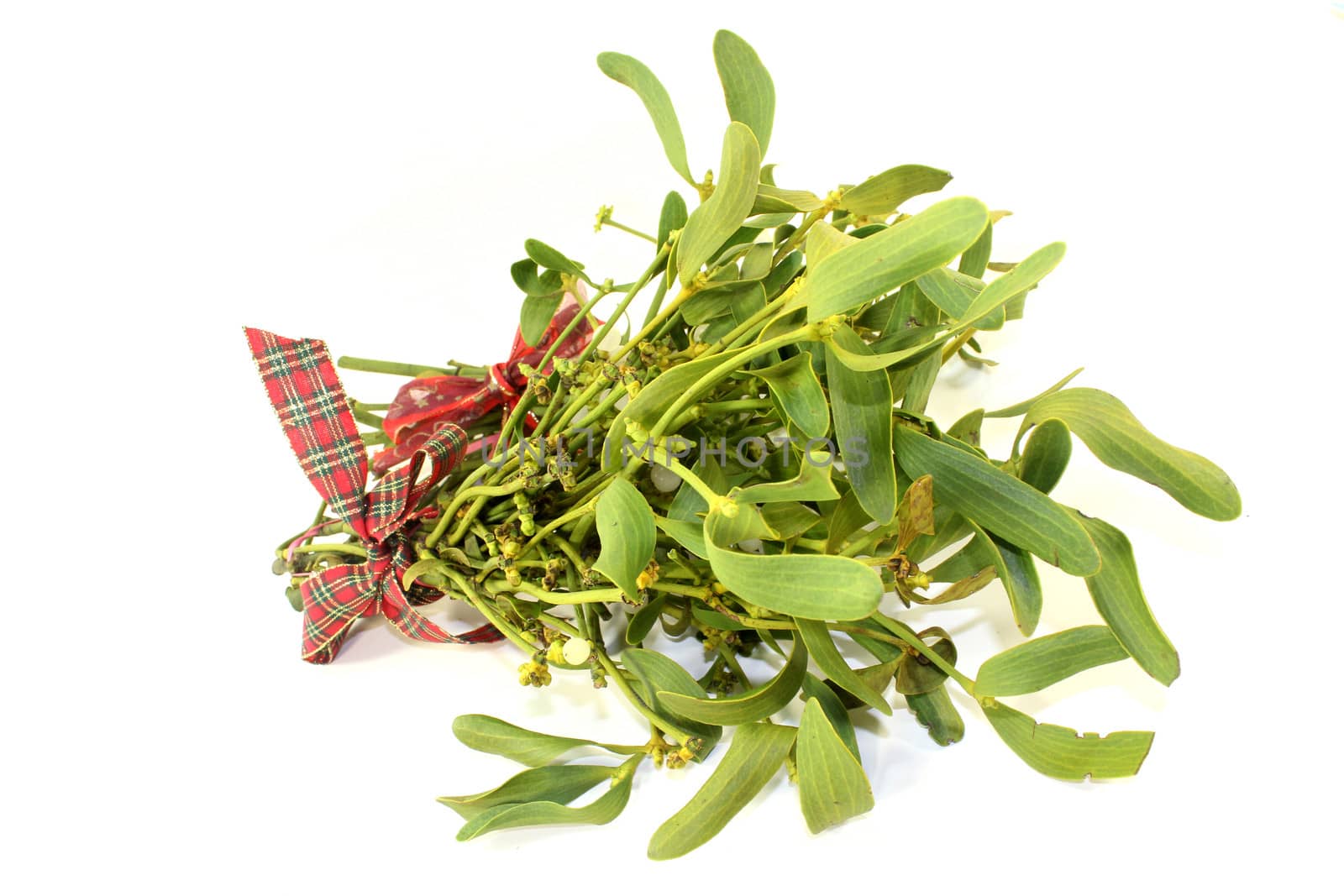 a bunch of mistletoe against white background