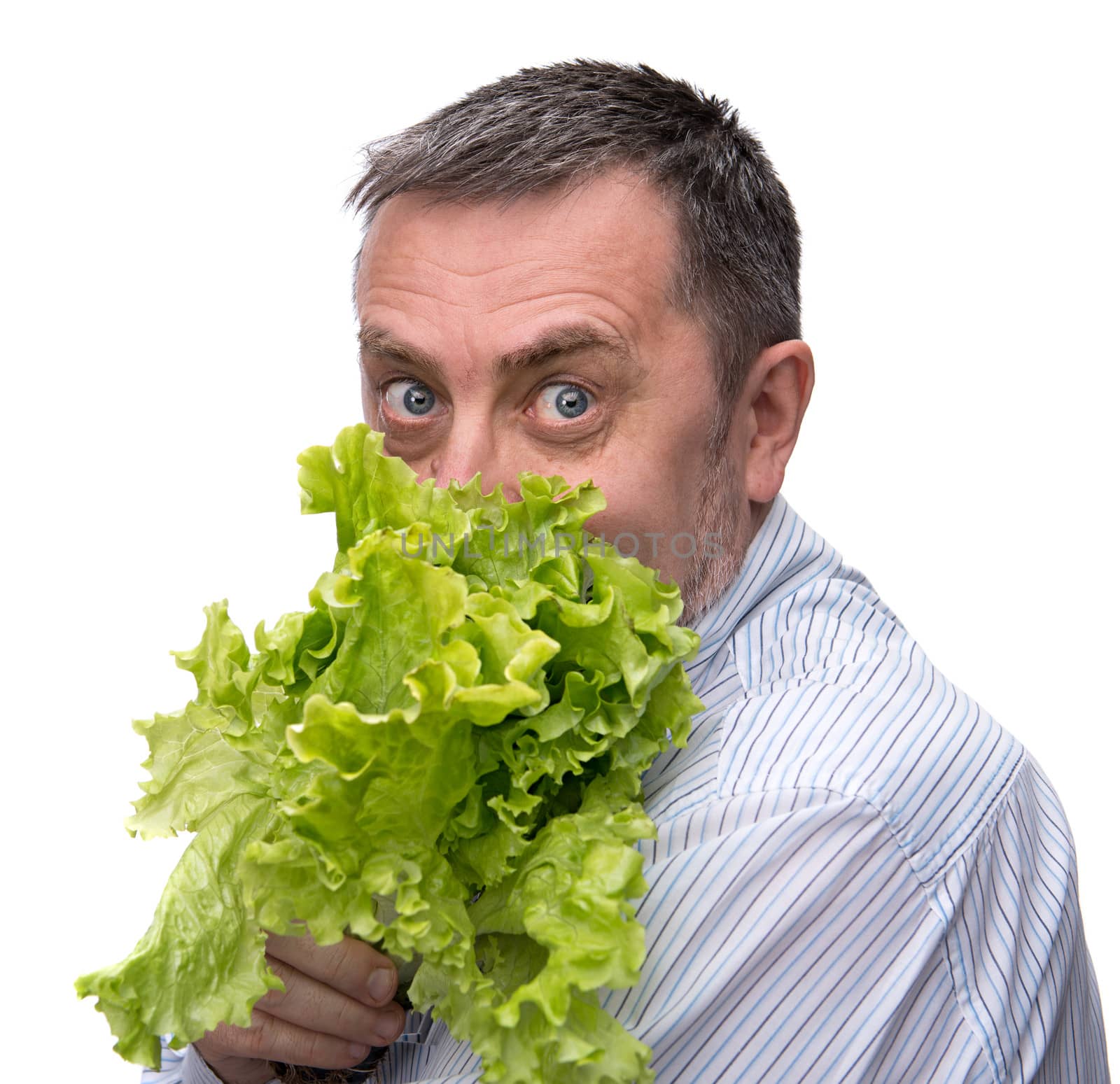 Organic food. Man holding lettuce isolated on white