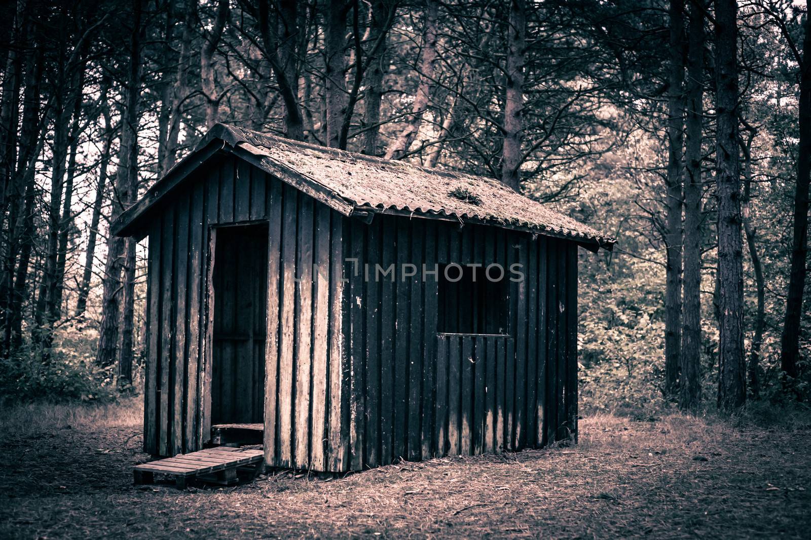 Spooky cabin by Sportactive