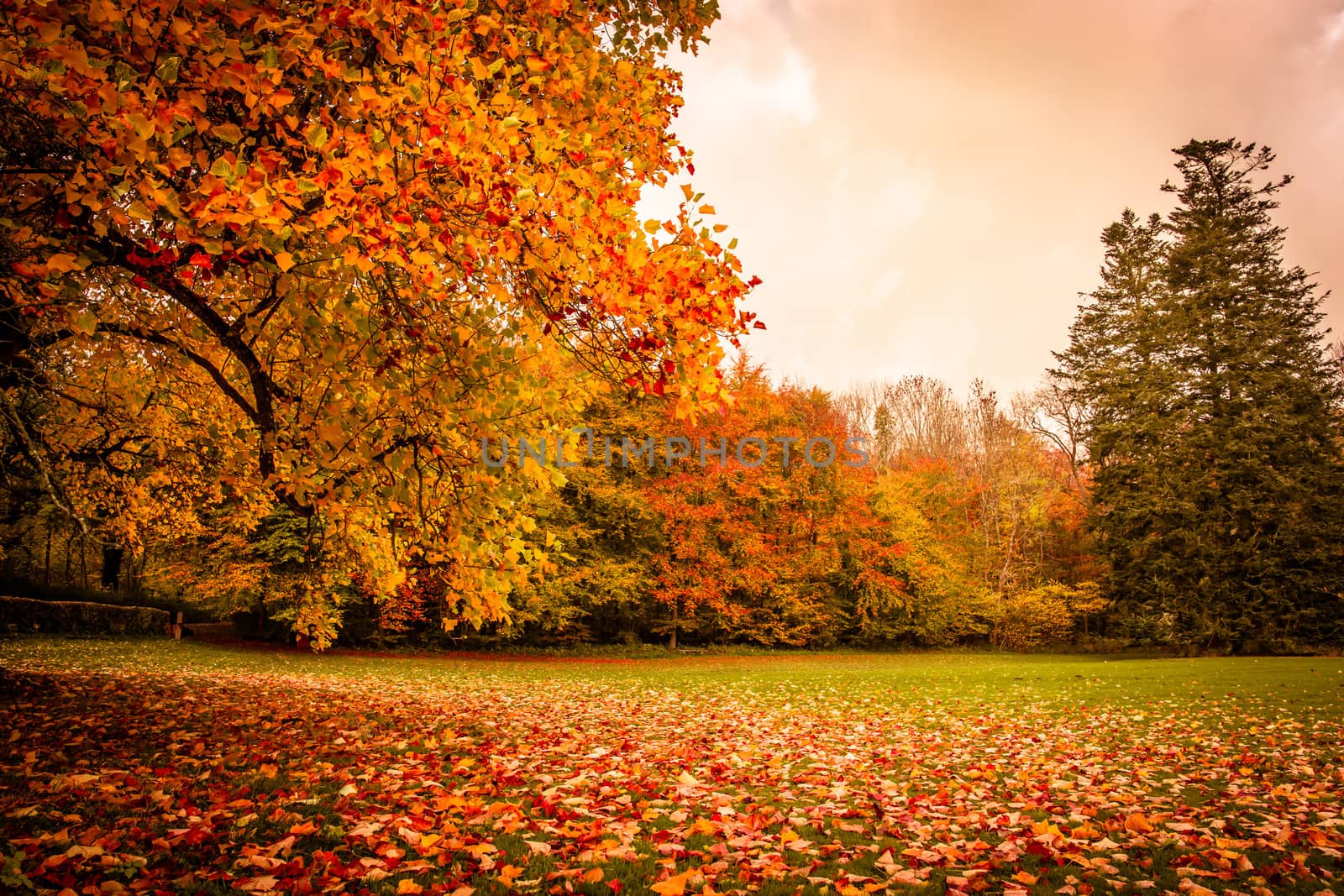 Autumn landscape by Sportactive