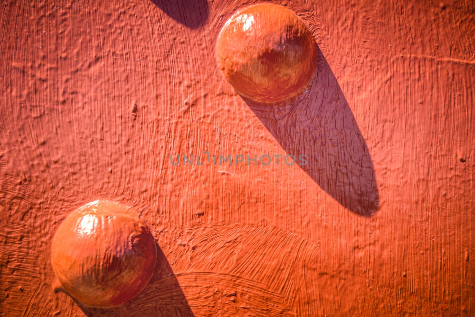 Golden Gate Nut texture in San Francisco, California, USA