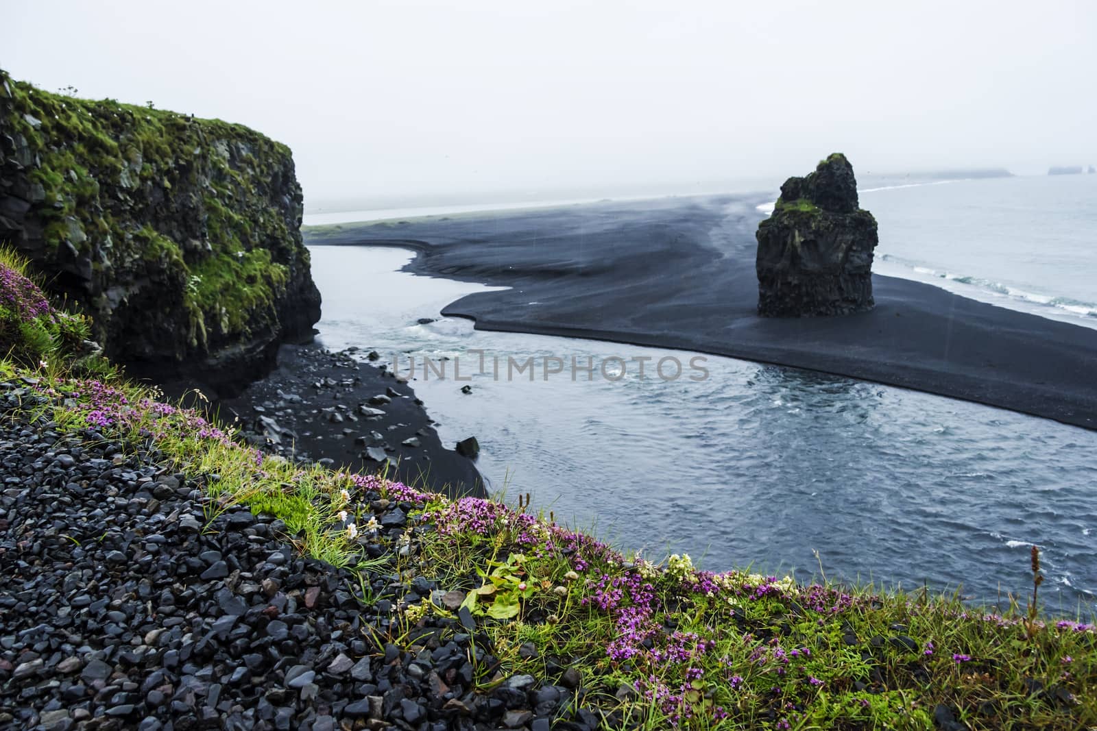 Black volcanic sand on the south coast of Iceland by Tetyana