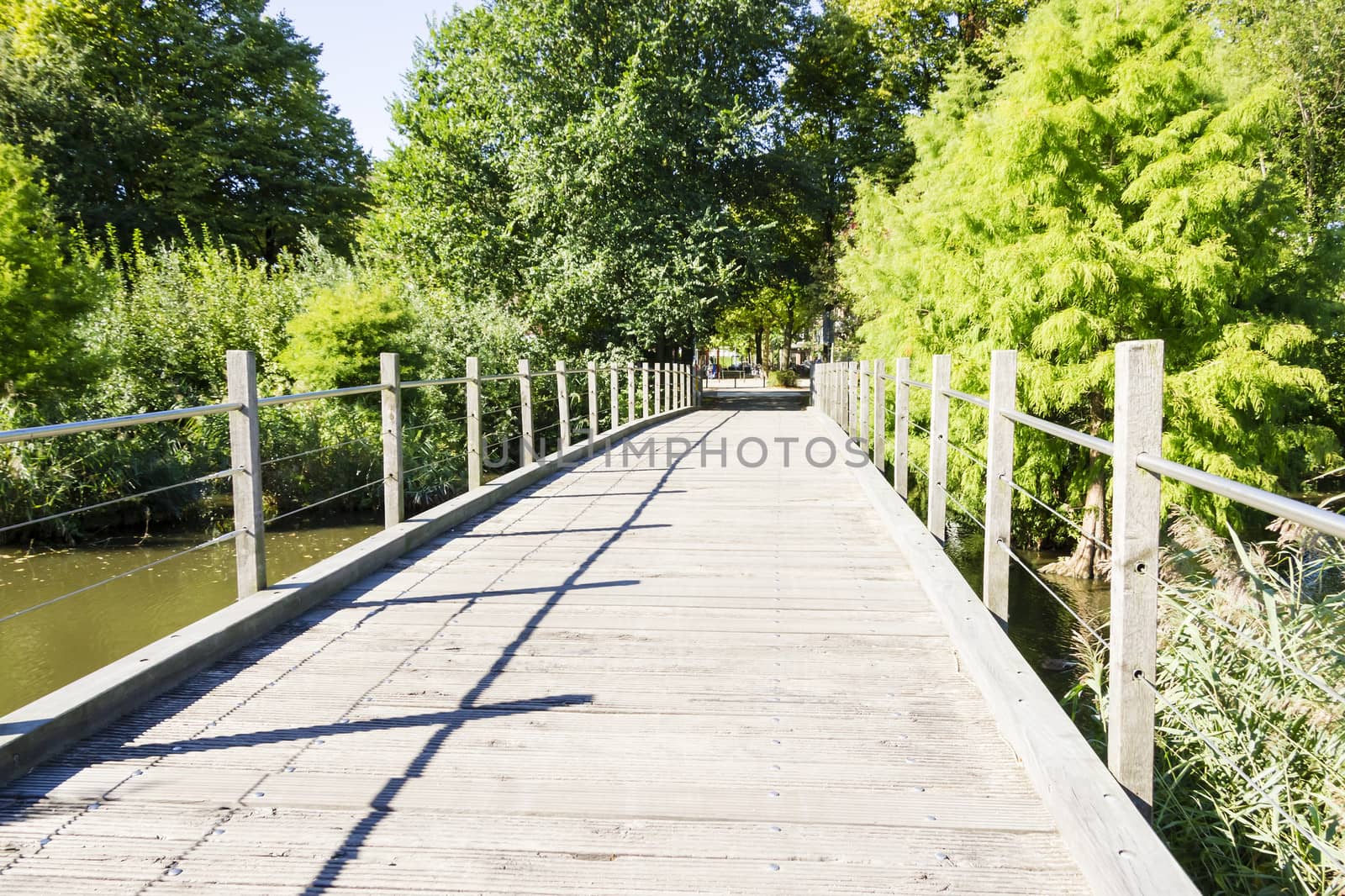 Wooden bridge in green garden in the afternoon