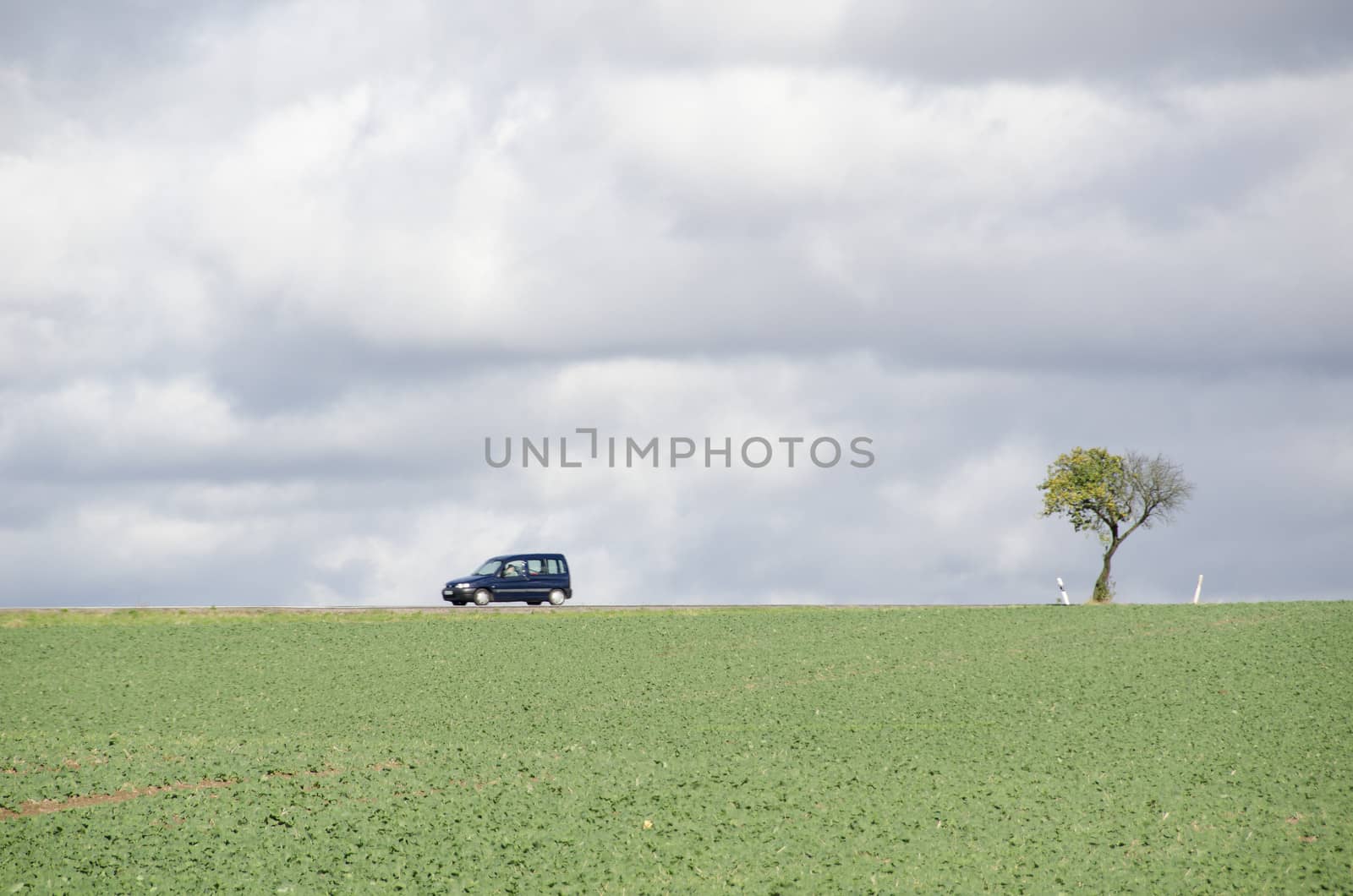 Tree on a field with road and car in Germany