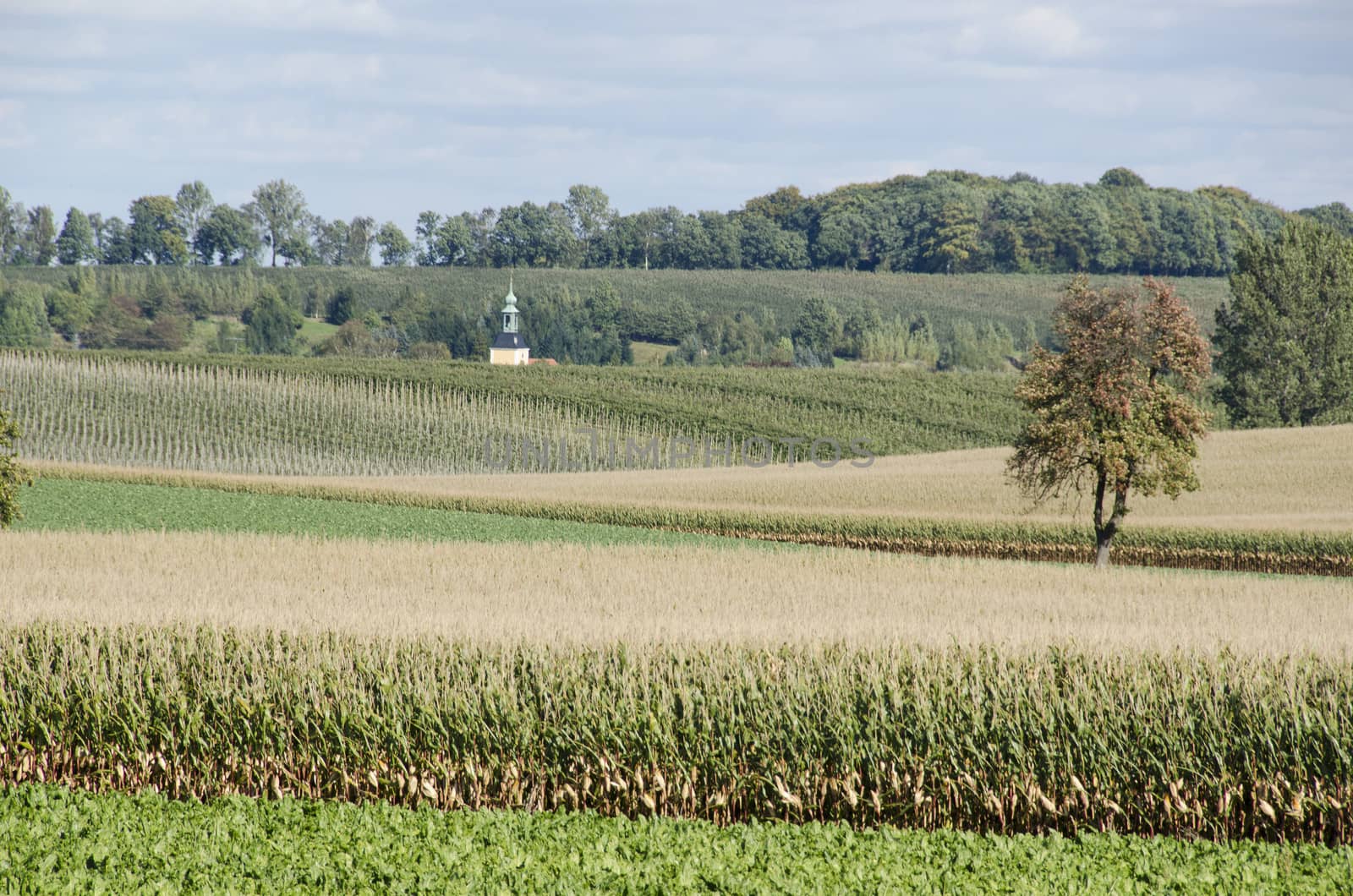 Landscape in Saxony, Germany by Arrxxx