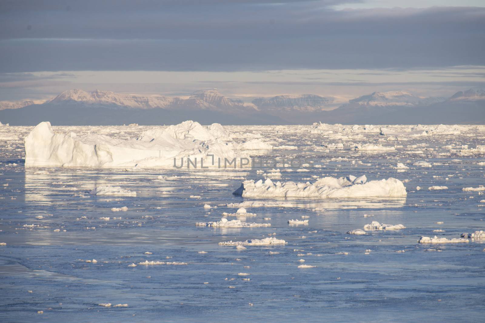 Beautiful Icebergs in Disko Bay Greenland around Ilulissat