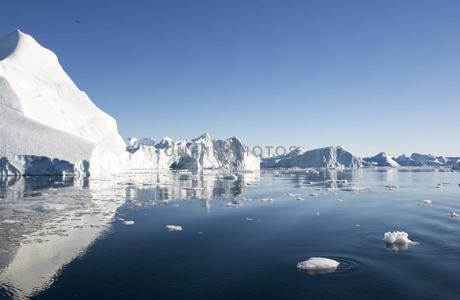 Beautiful Iceberg by Arrxxx