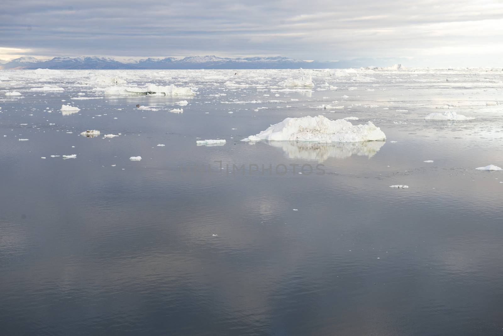 Beautiful Icebergs in Disko Bay Greenland around Ilulissat