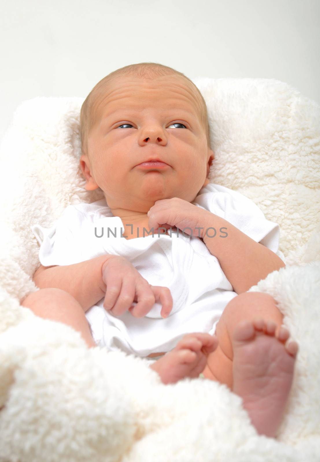 confused newborn infant by ftlaudgirl