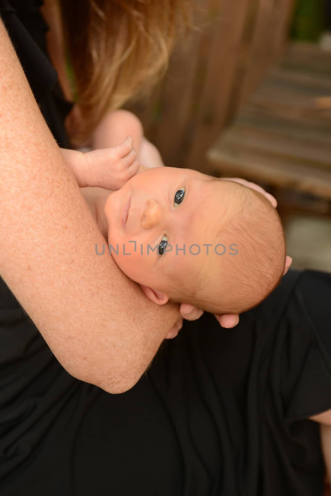 mother holding cute newborn infant  by ftlaudgirl