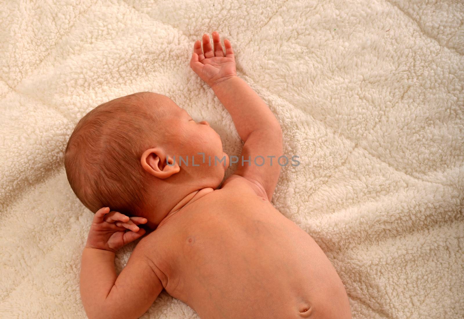 peaceful sleeping newborn infant on white fluffy blanket