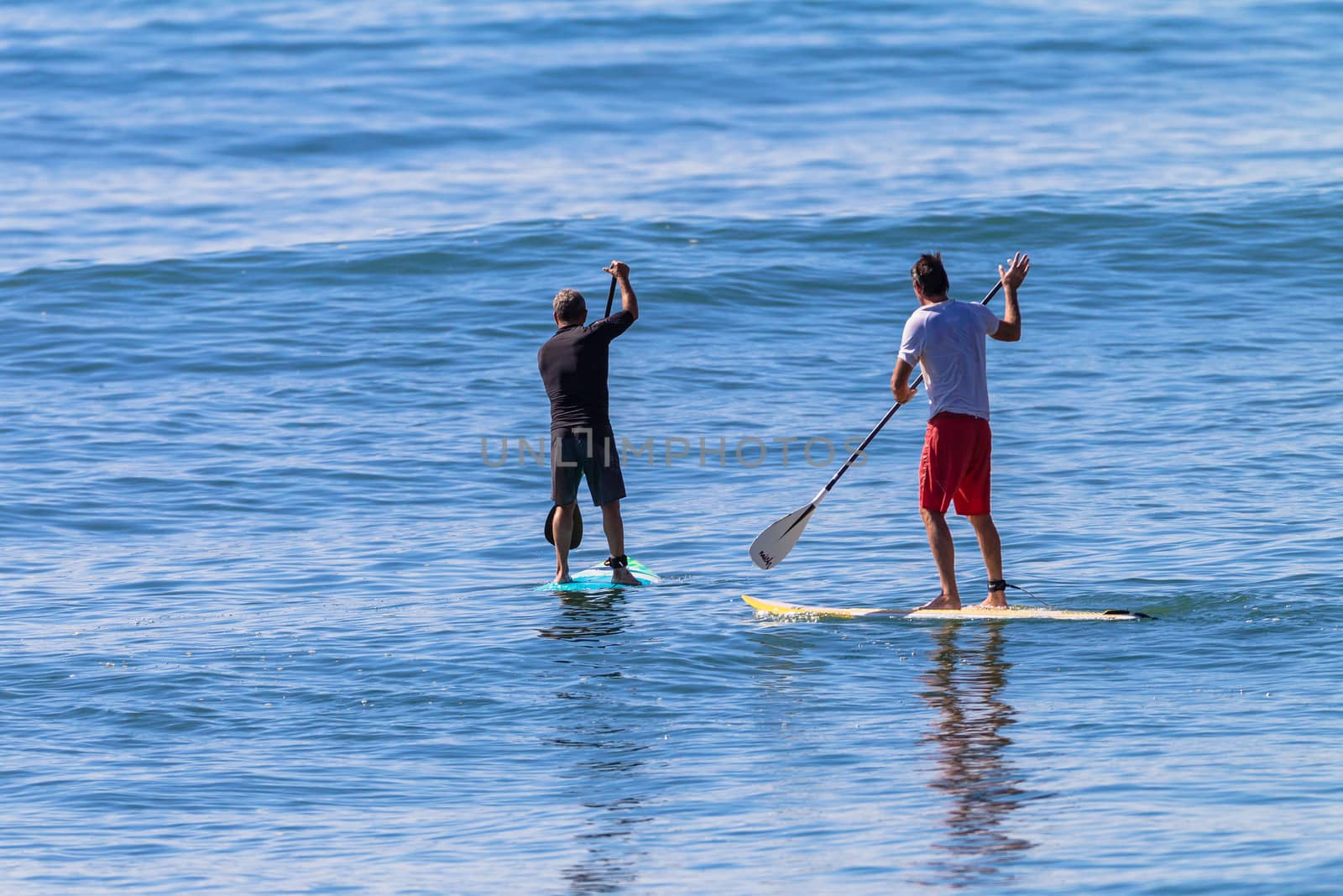 Surfers SUP Boards Waiting Waves by ChrisVanLennepPhoto