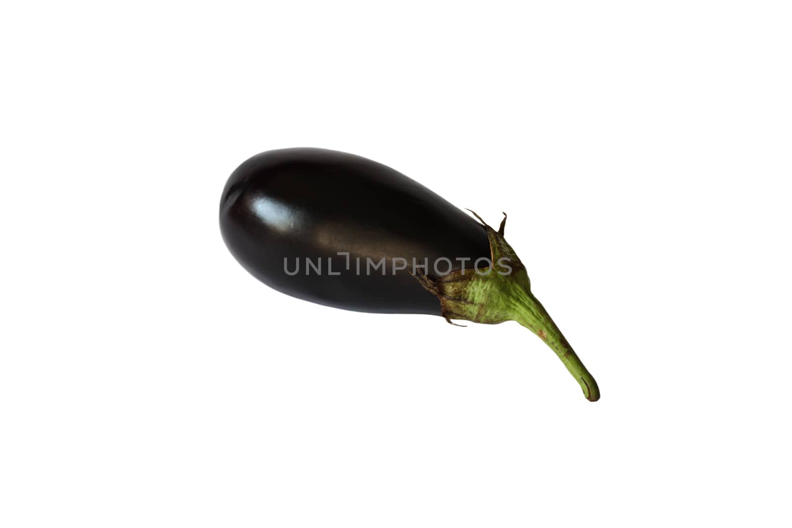 Eggplant by dedmorozz