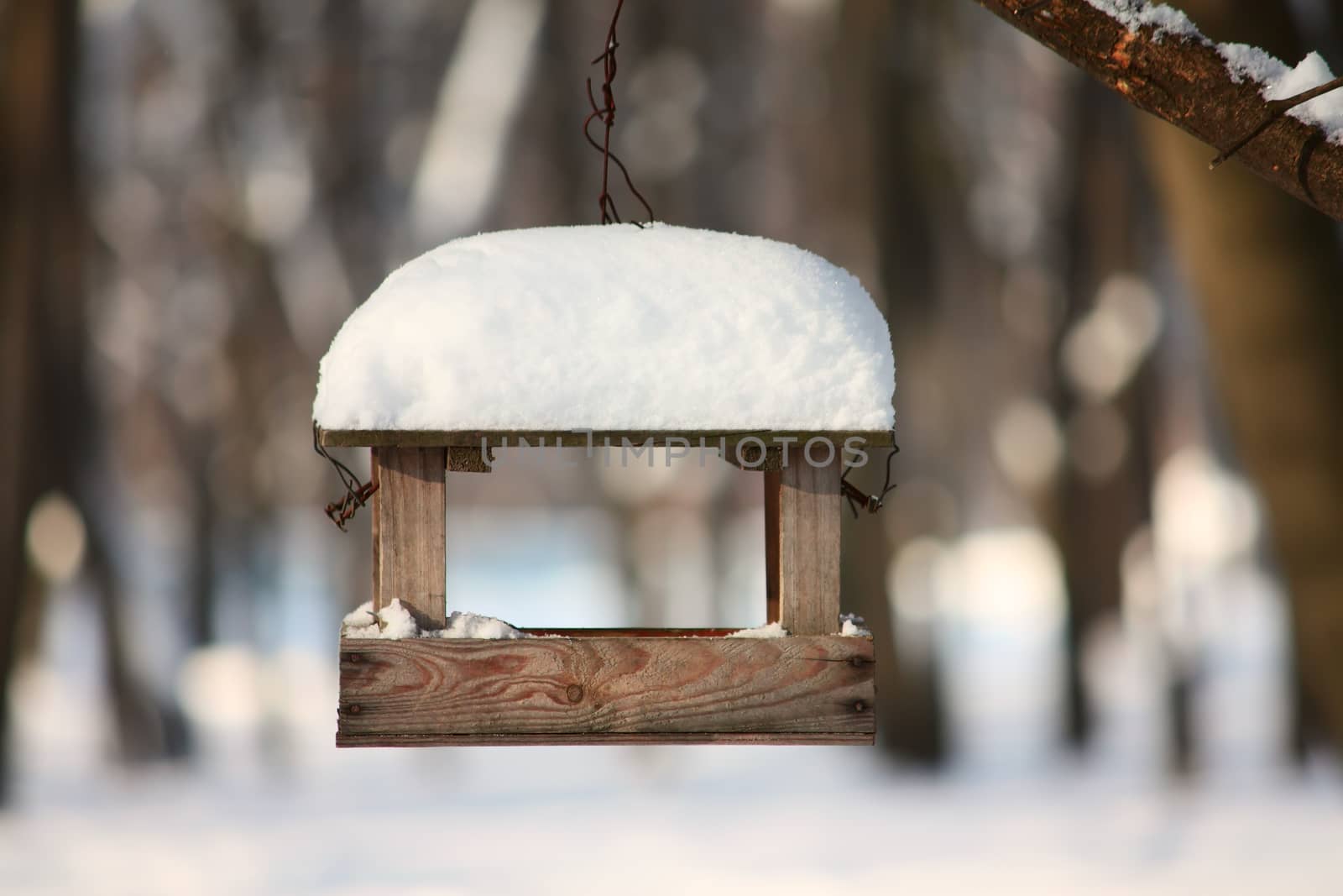 Feeder for a birds in a winter park