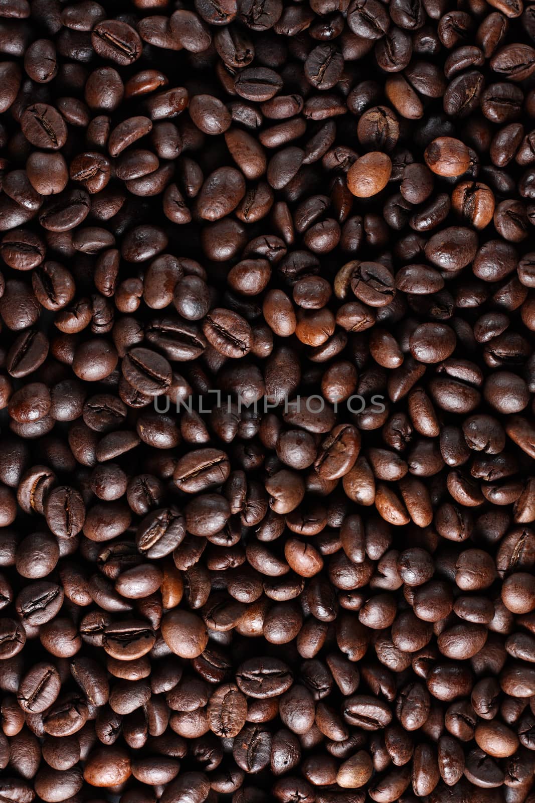 Coffee beans by dedmorozz