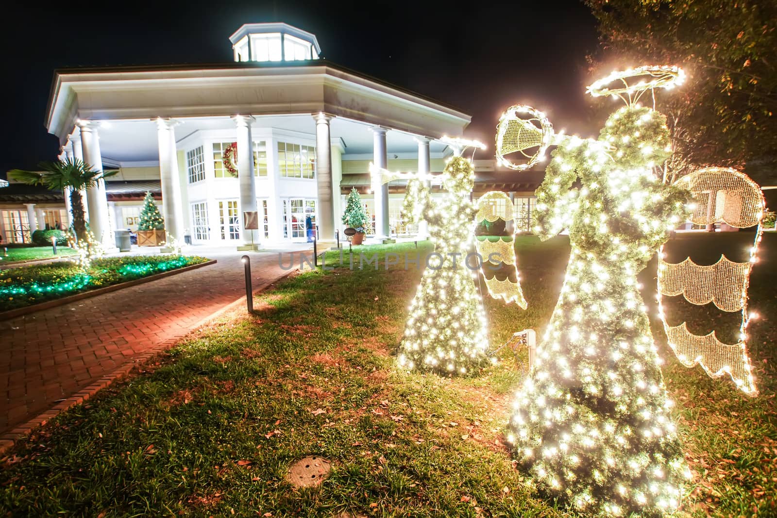 garden night scene at christmas time in the carolinas