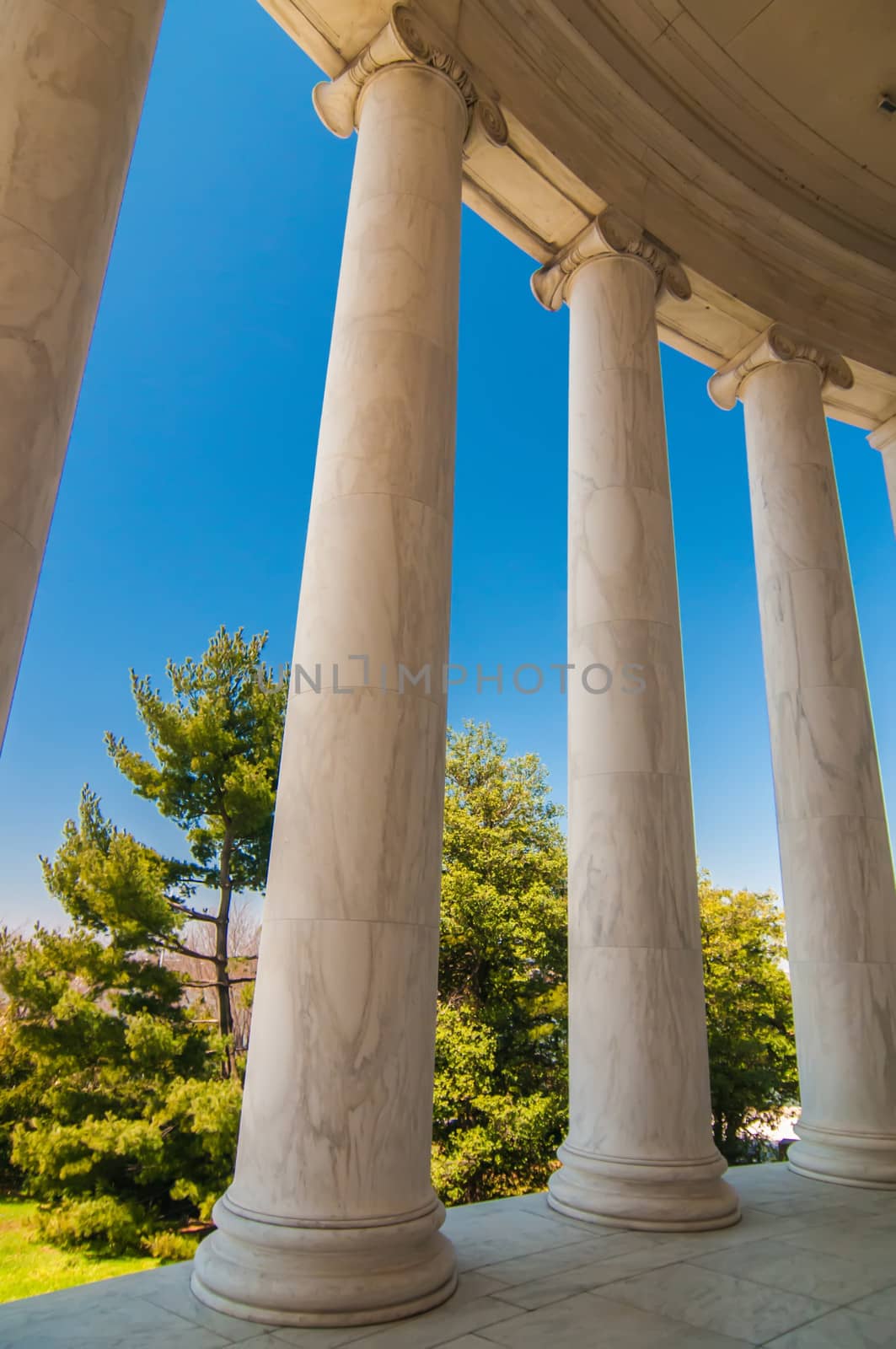 ionic architectural columns details by digidreamgrafix