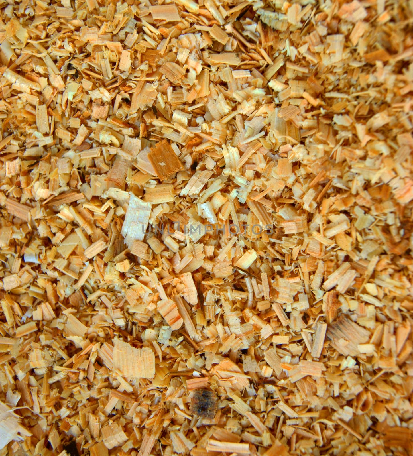 Sawdust on the ground.Background from wooden sawdust
