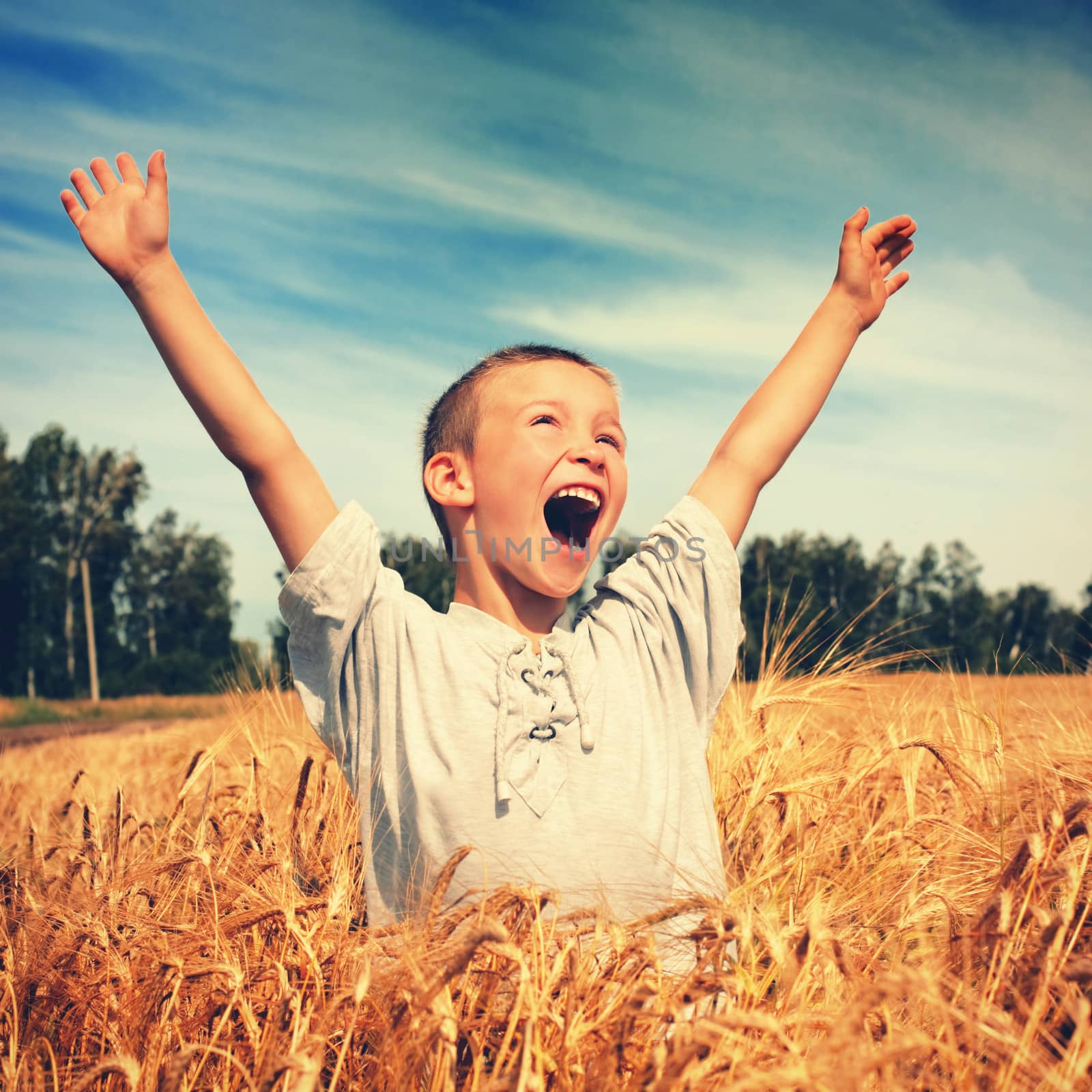Vintage photo of Happy Kid in the Wheat Field