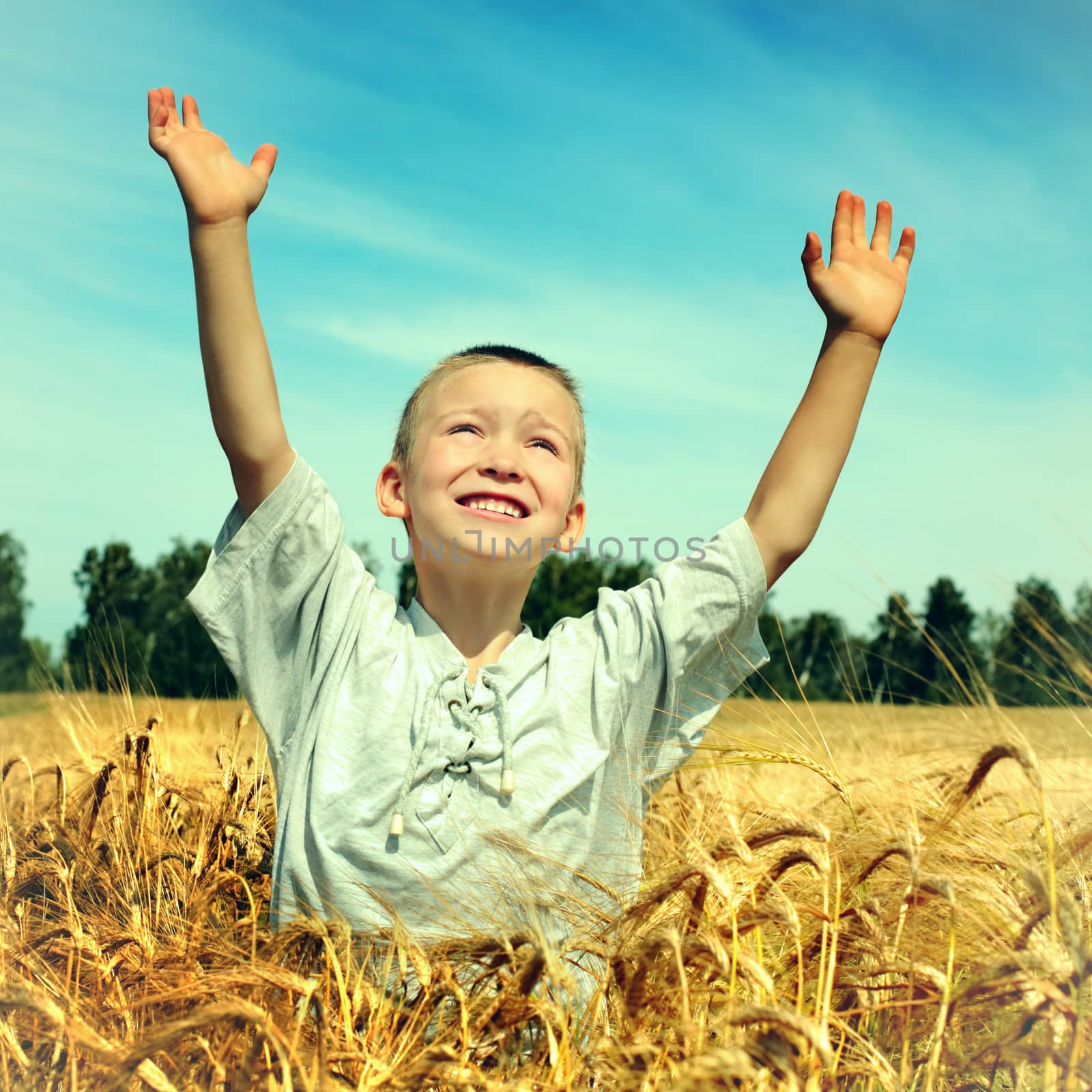 Toned photo of Happy Kid in the Wheat Field