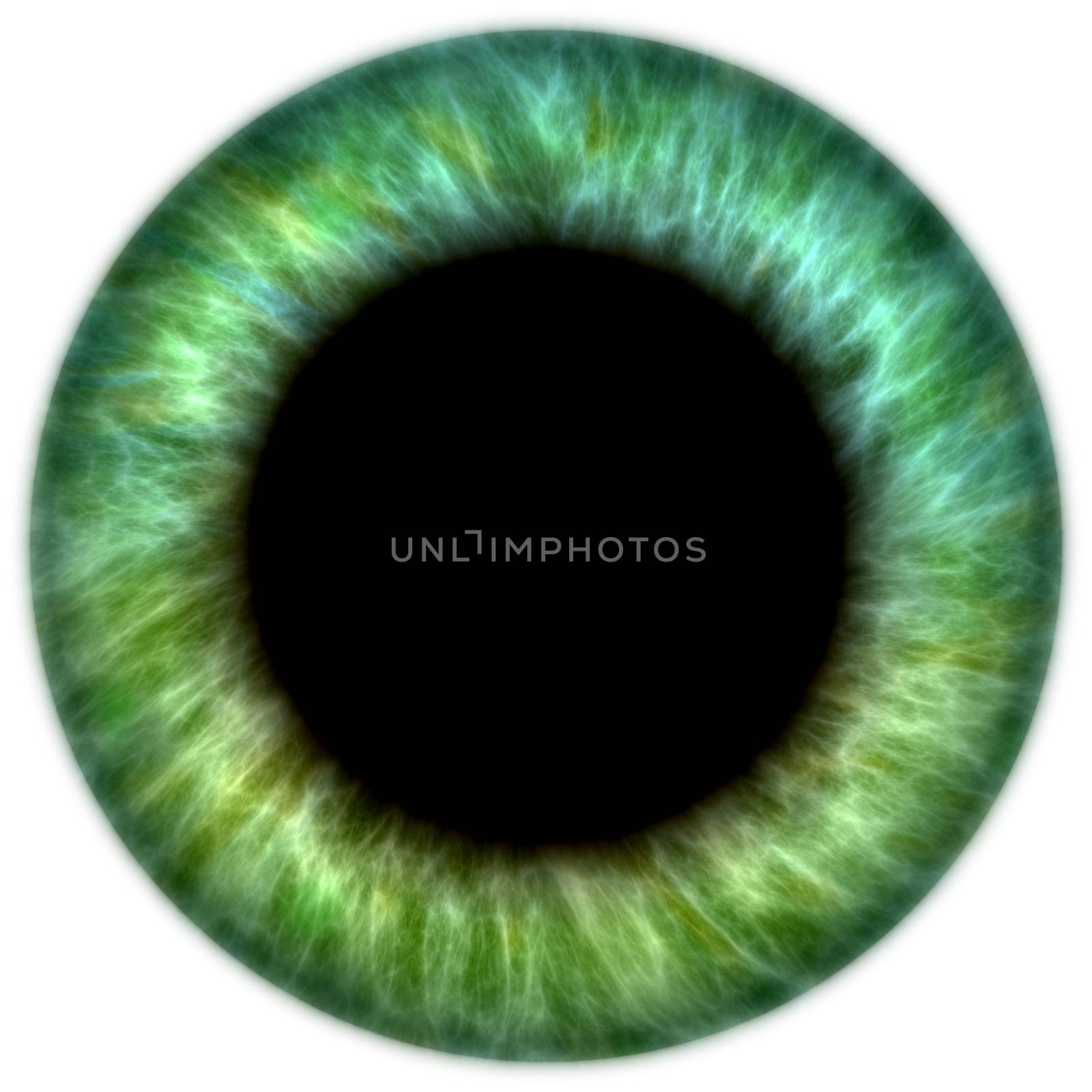 Illustration of a green human iris