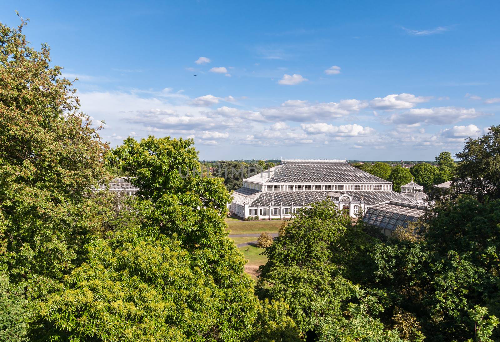 Temperate House in Kew Royal Botanic Gardens, London, England. View from treetop walkway.