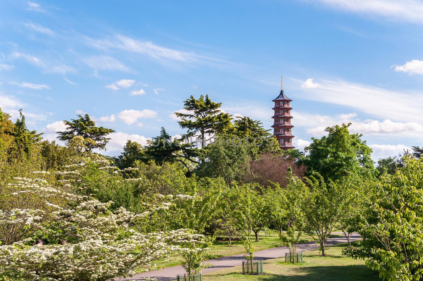 Trees, alley and Pagoda in Royal Botanic Gardens, Kew, London, England.