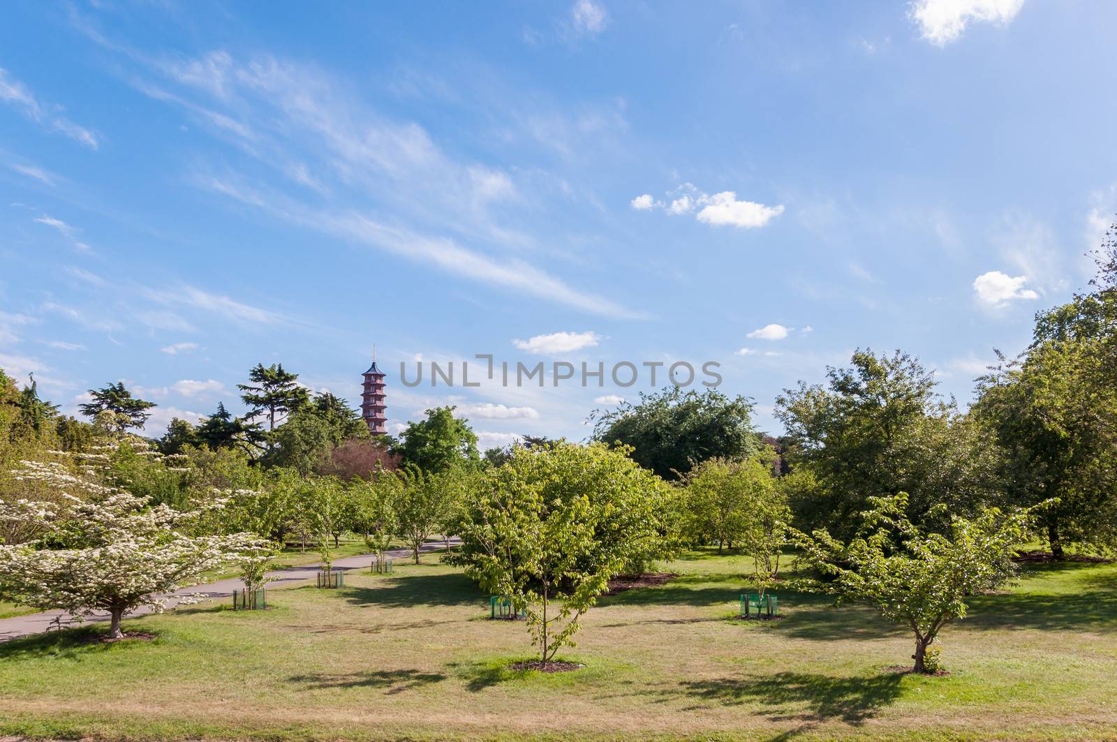 Trees, alley and Pagoda by mkos83