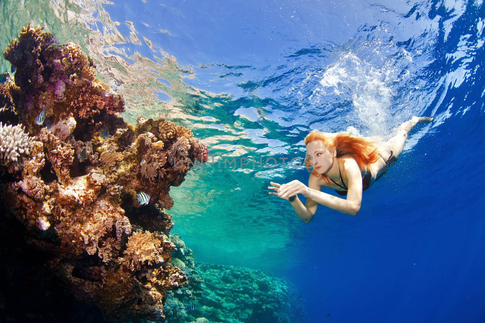 beautiful girl and corals in the sea