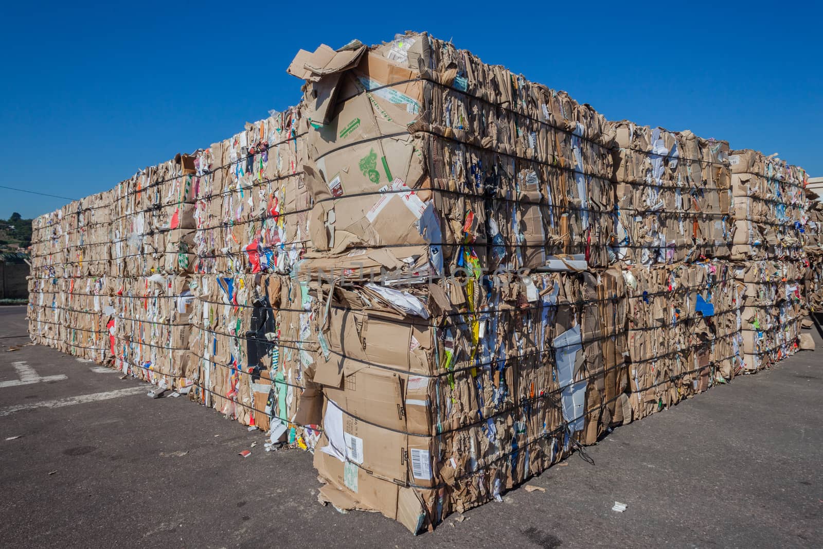Cardboard paper packed strapped and packed in stacks for recycling pulp.