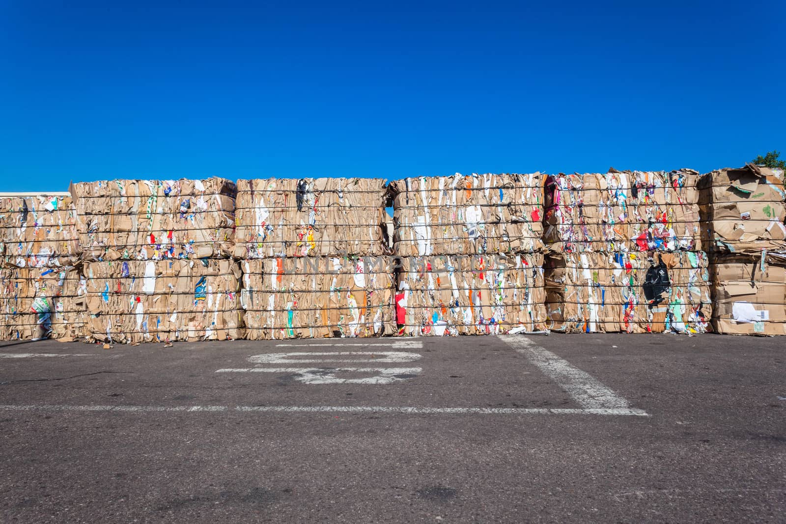 Cardboard paper packed strapped and packed in stacks for recycling pulp.