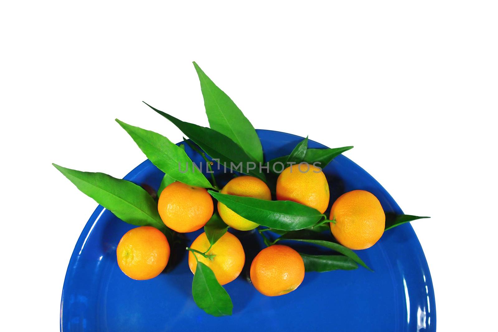 Mandarins on a dark blue plate - isolated object white background