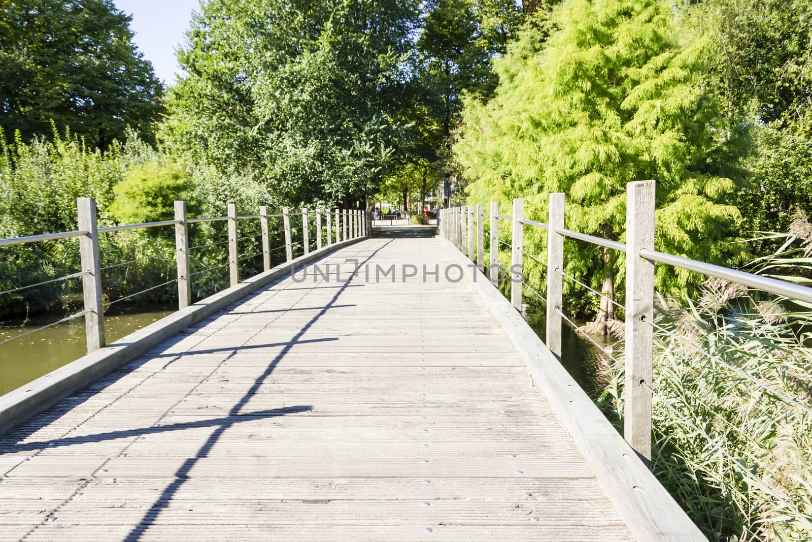 Wooden bridge in green garden in the afternoon by Tetyana