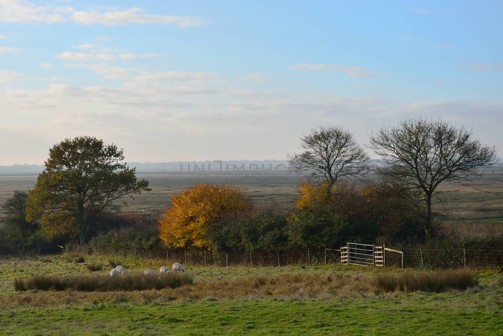 Autumn in England