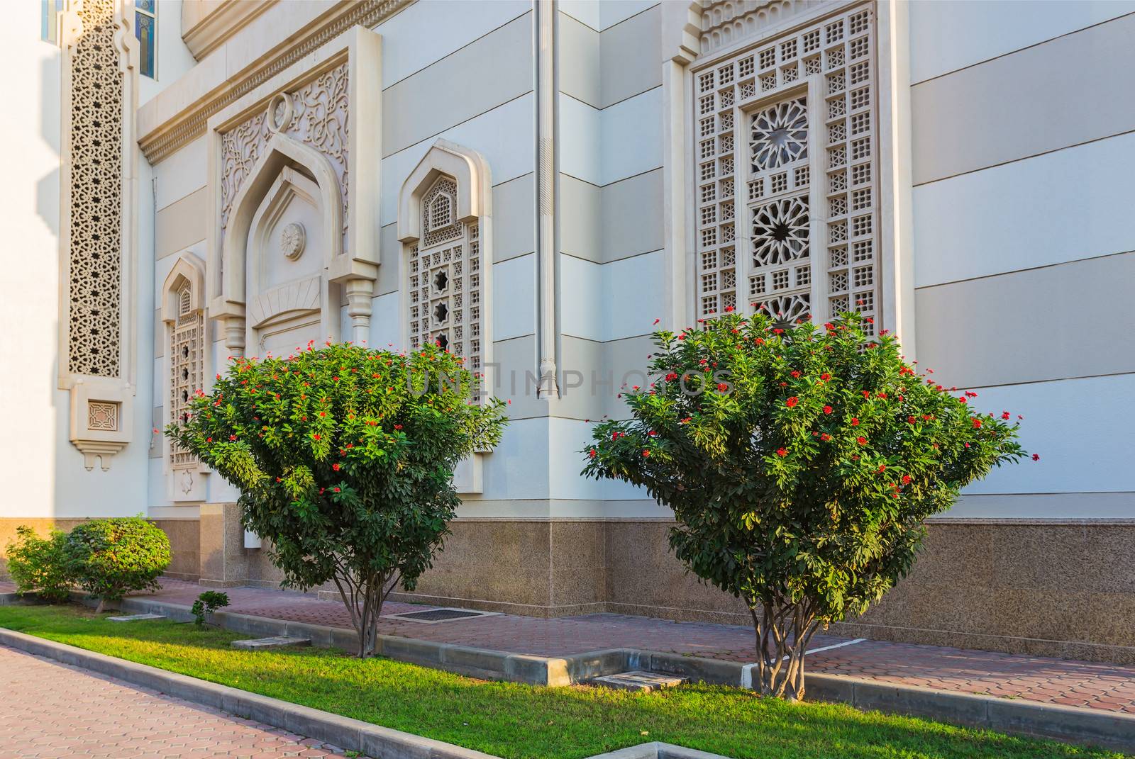 Trees on the background of a mosque in Sharjah by oleg_zhukov