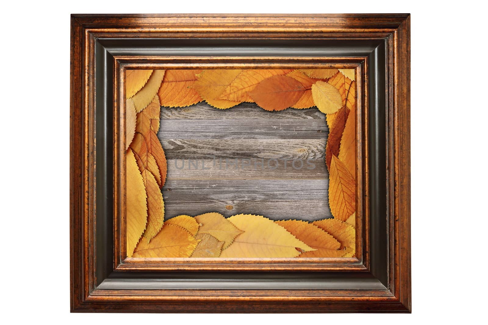 vintage painting wooden frame with natural design backdrop inside