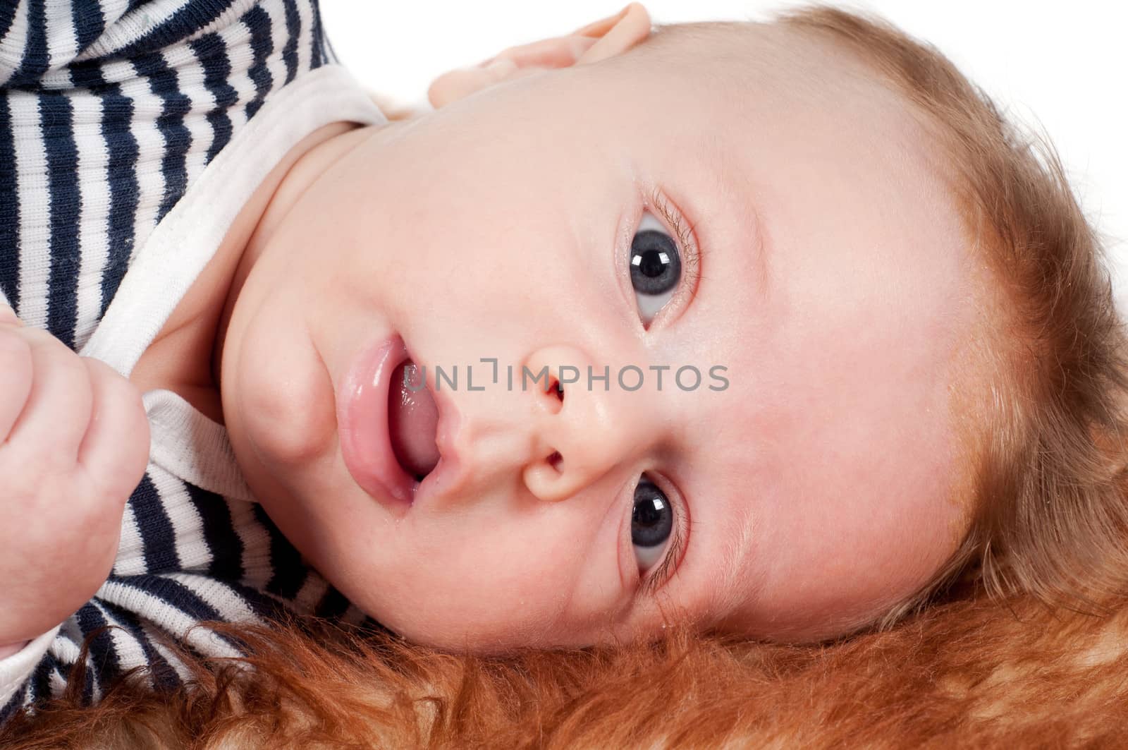Close-up portrait of newborn baby lying on fur