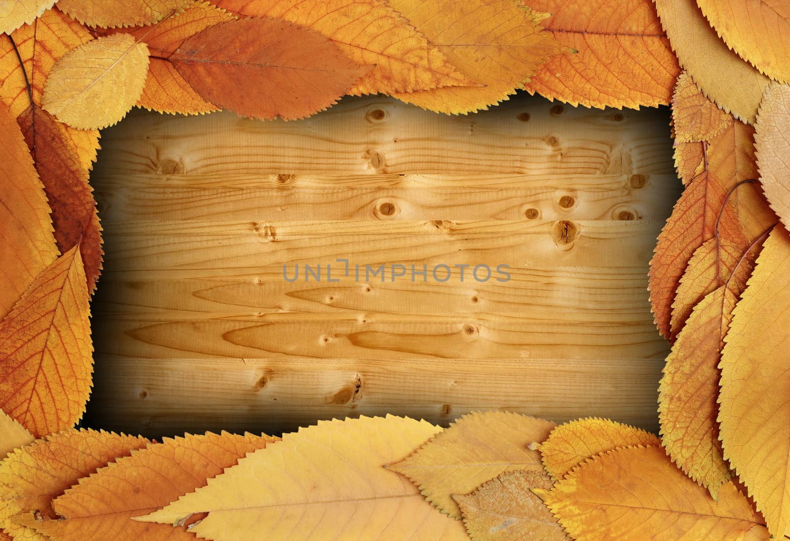 thanksgiving backdrop for your design with cherry faded foliage frame on wooden table
