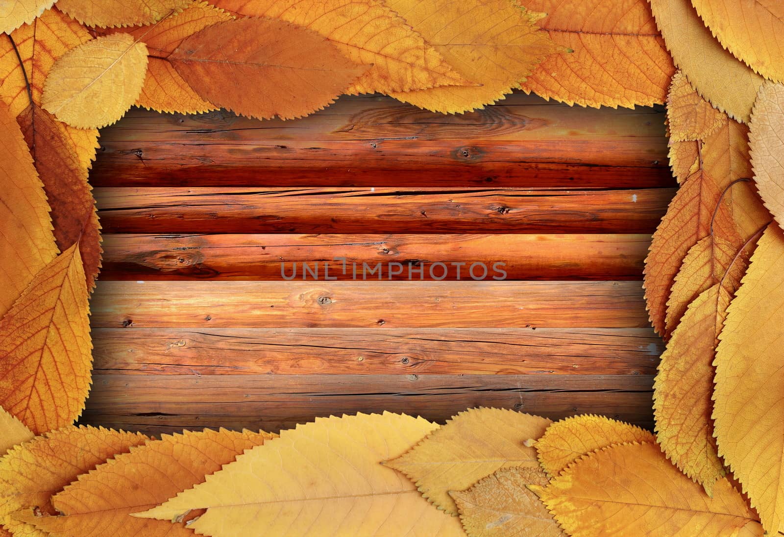 gold leaves on wood table, thanksgiving autumn backdrop