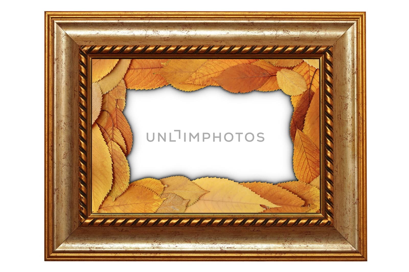 isolated old wooden painting  frame with leaves interior design