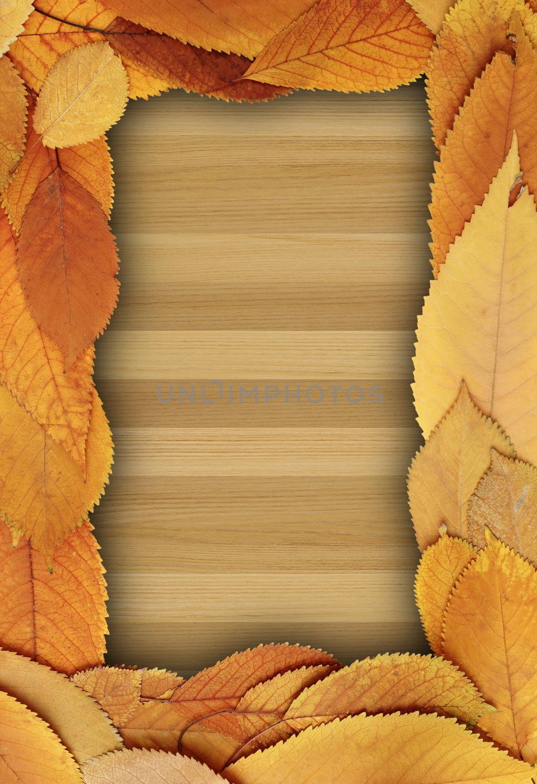 natural backdrop with golden cherry foliage on wooden  table