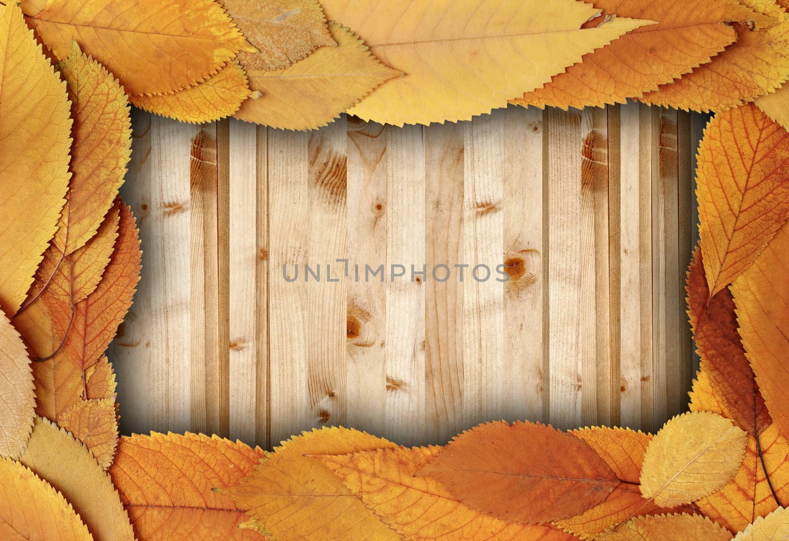 spruce boards table with cherry faded leaves backdrop ready for design or greeting card