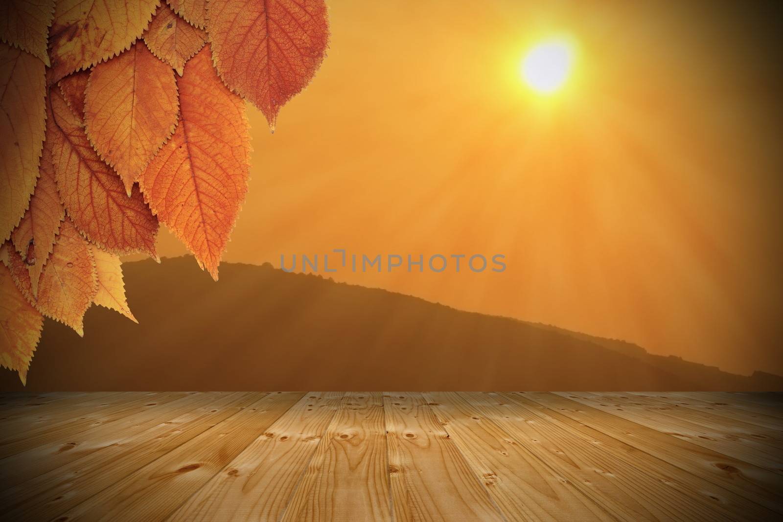 autumn sunset seen from wooden balcony under a cherry tree