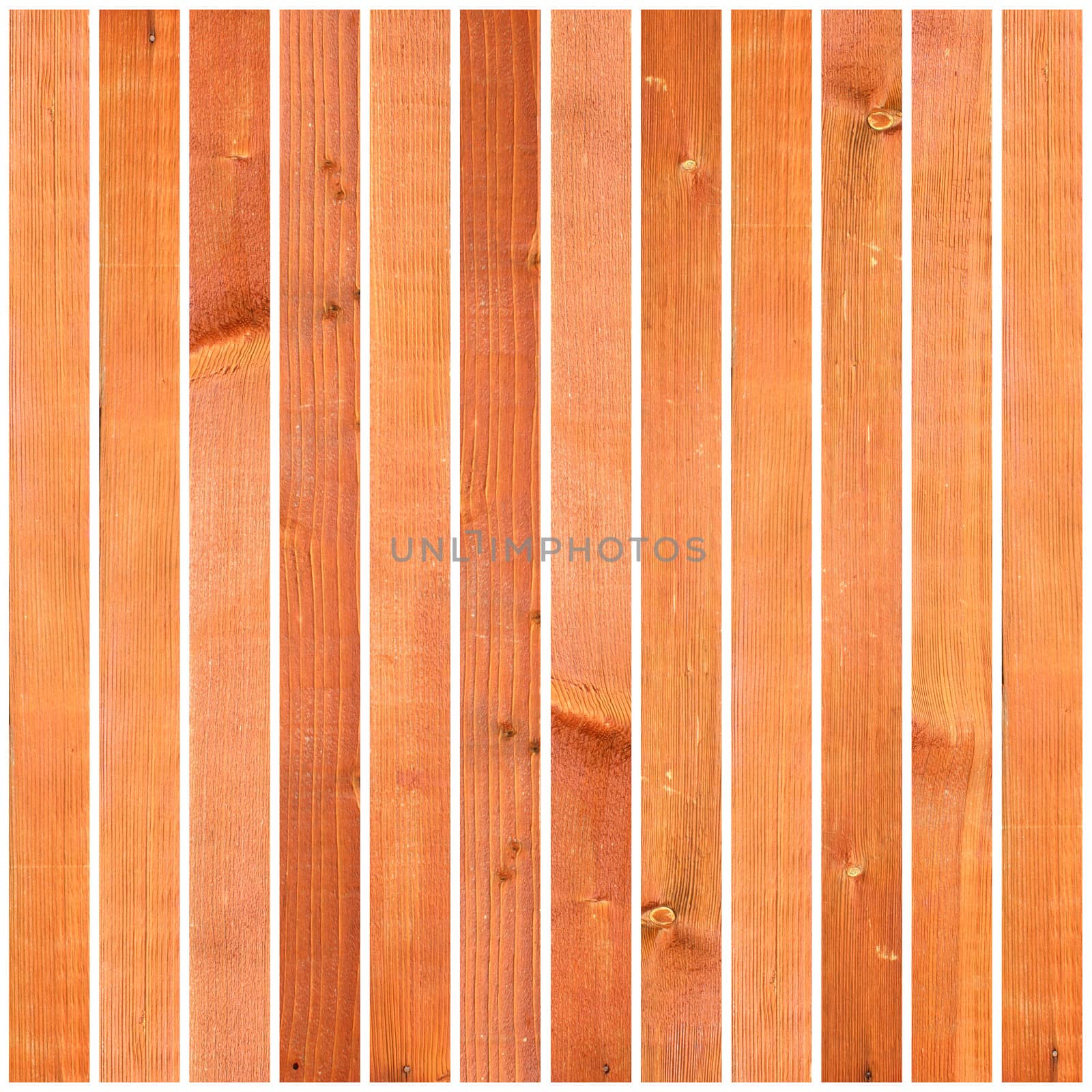 textured wooden planks on white by taviphoto