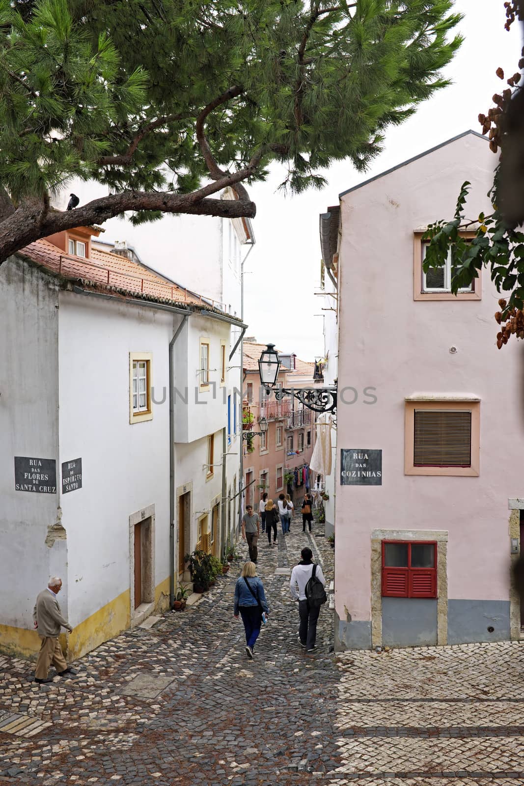 Old medieval street in Lisbon Portugal by devy