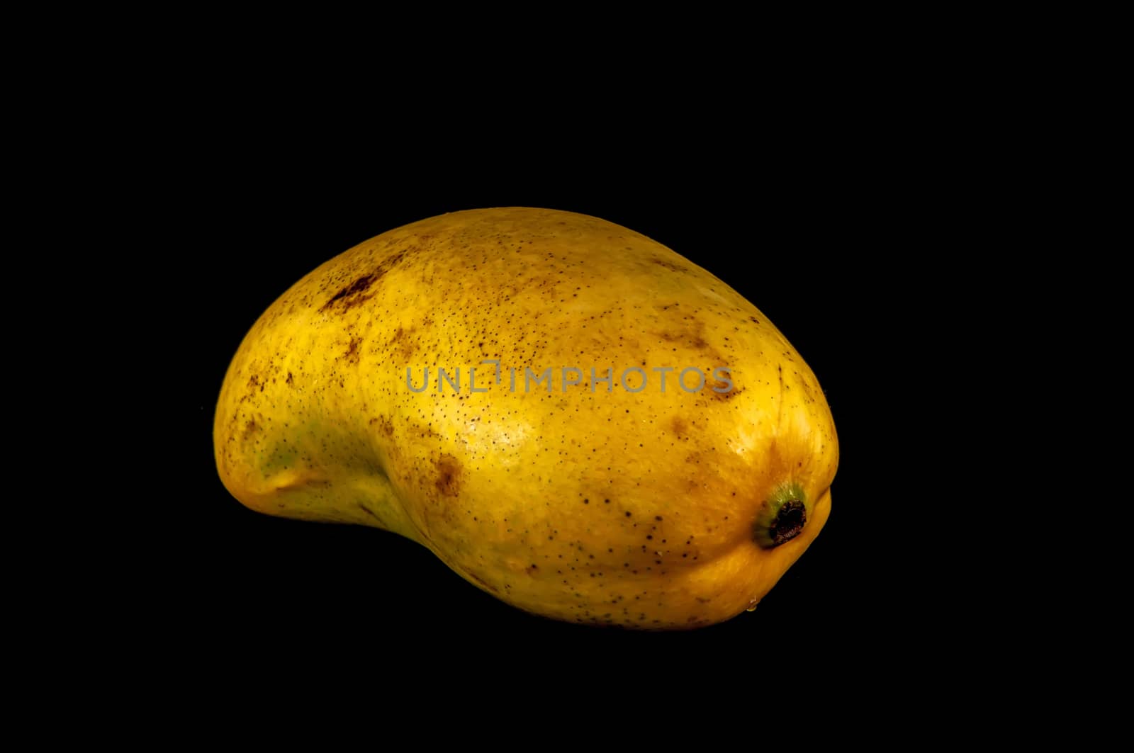 champagne ataulfo mango closeup isolated  by digidreamgrafix